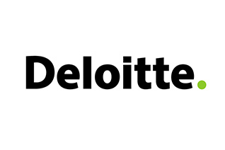 Deloitte Partner